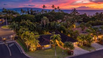 3236  Pikai Way Wailea Kai,  home - photo 1 of 50