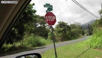 325 Alalele Rd  Hana, Hi vacant land for sale - photo 2 of 12