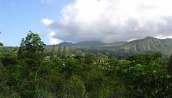 325 Alalele Rd  Hana, Hi vacant land for sale - photo 4 of 12