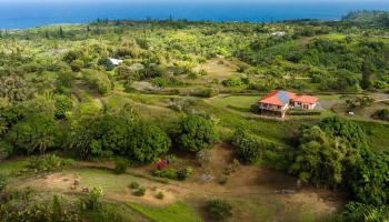 33  Hoolawa Rd Huelo, Haiku home - photo 2 of 50