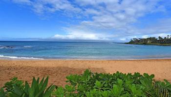 Napili Bay condo # 105, Lahaina, Hawaii - photo 2 of 24