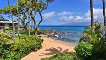 Napili Bay condo # 210, Lahaina, Hawaii - photo 3 of 24