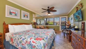 Napili Bay condo # 210, Lahaina, Hawaii - photo 5 of 24