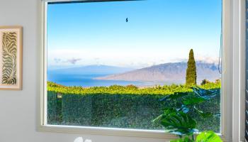 33  Puakea Pl , Kula/Ulupalakua/Kanaio home - photo 5 of 48