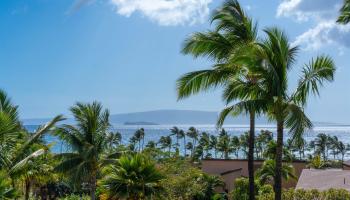 Wailea Ekahi I condo # 13F, Kihei, Hawaii - photo 3 of 22