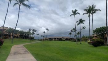 Wailea Ekahi III condo # 36D, Kihei, Hawaii - photo 5 of 50