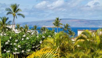 Wailea Ekahi III condo # 40E, Kihei, Hawaii - photo 2 of 50