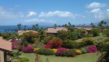 Wailea Ekahi III condo # 49D, Kihei, Hawaii - photo 4 of 29