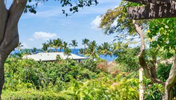 Wailea Ekahi I condo # 3A, Kihei, Hawaii - photo 6 of 42