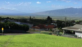 3351 Iolani St 79 Makawao, Hi vacant land for sale - photo 4 of 6