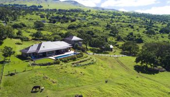 337  Kealakapu Rd Keokea, Kula/Ulupalakua/Kanaio home - photo 2 of 45