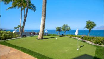 34  Maluaka Pl , Wailea/Makena home - photo 3 of 11