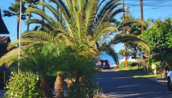 Wailana Kai condo # 204, Kihei, Hawaii - photo 1 of 28