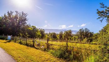 340 Aulii Dr  Makawao, Hi vacant land for sale - photo 2 of 36