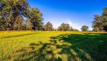 340 Aulii Dr  Makawao, Hi vacant land for sale - photo 6 of 36