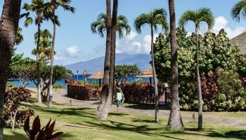 Kaanapali Shores condo # 153, Lahaina, Hawaii - photo 1 of 46