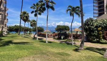 Kaanapali Shores condo # 155, Lahaina, Hawaii - photo 1 of 4