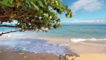 Kaanapali Shores condo # 536, Lahaina, Hawaii - photo 5 of 24