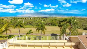 3446  Omaopio Rd Lower Kula, Kula/Ulupalakua/Kanaio home - photo 3 of 46