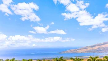 3446  Omaopio Rd Lower Kula, Kula/Ulupalakua/Kanaio home - photo 5 of 50