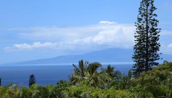 3450  Malina Pl Maui Meadows, Maui Meadows home - photo 4 of 48