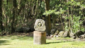 34992  Piilani Hwy , Kaupo home - photo 2 of 46