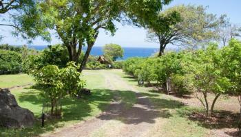 34992  Piilani Hwy , Kaupo home - photo 5 of 46