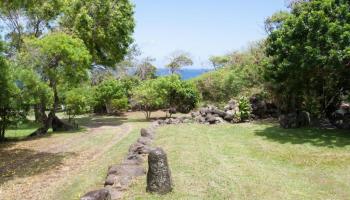 34992  Piilani Hwy , Kaupo home - photo 6 of 46