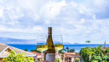 Villas at Kahana Ridge condo # 733, Lahaina, Hawaii - photo 5 of 50