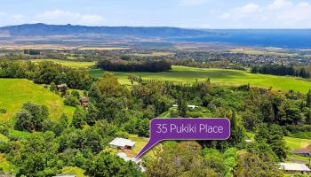 35  Pukiki Pl , Makawao/Olinda/Haliimaile home - photo 2 of 50