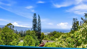 35  Pukiki Pl , Makawao/Olinda/Haliimaile home - photo 6 of 50