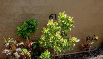 Kalama Terrace condo # L-102, Kihei, Hawaii - photo 5 of 31