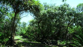 35006  Piilani Hwy , Kaupo home - photo 2 of 20