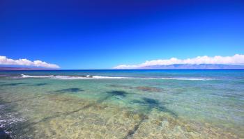 Papakea Resort I II condo # C107, Lahaina, Hawaii - photo 1 of 49