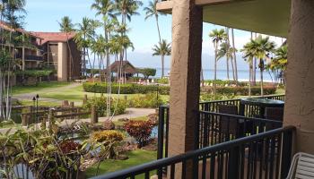 Papakea Resort I II condo # C203, Lahaina, Hawaii - photo 2 of 23