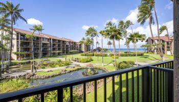 Papakea Resort I II condo # C206, Lahaina, Hawaii - photo 2 of 24