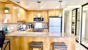 Papakea Resort I II condo # E-206, Lahaina, Hawaii - photo 3 of 29
