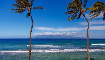 Papakea Resort I II condo # F303, Lahaina, Hawaii - photo 1 of 20