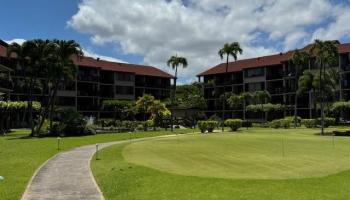 Papakea Resort I II condo # H407, Lahaina, Hawaii - photo 5 of 6