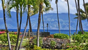 Papakea Resort I II condo # J105, Lahaina, Hawaii - photo 3 of 49