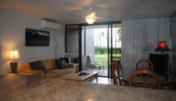 Papakea Resort I II condo # K105, Lahaina, Hawaii - photo 6 of 23