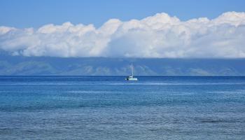 Papakea Resort I II condo # L204, Lahaina, Hawaii - photo 3 of 43