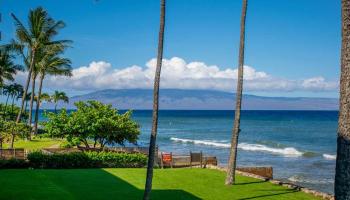 Papakea Resort I II condo # L-206, Lahaina, Hawaii - photo 6 of 30