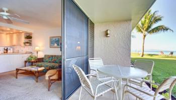 Papakea Resort I II condo # F103, Lahaina, Hawaii - photo 3 of 22