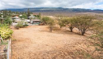 3546 Akala Dr  Kihei, Hi vacant land for sale - photo 3 of 3