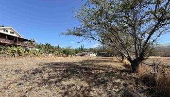 3546 Akala Dr Maui Meadows  - photo 4 of 9