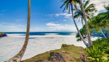 355  Wailua Rd Wailua-ke'anae, Hana home - photo 3 of 50