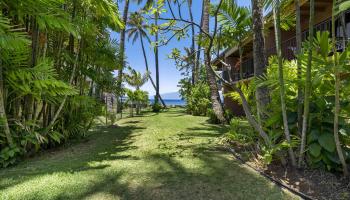 Maui Sands Seaside condo # 704, Lahaina, Hawaii - photo 1 of 30 Maui Sands Seaside condo # 704, Lahaina, Hawaii - photo 1 of 30