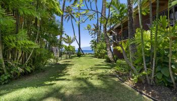 Maui Sands Seaside condo # 704, Lahaina, Hawaii - photo 1 of 30