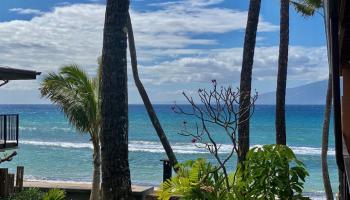 Maui Sands Seaside condo # 714, Lahaina, Hawaii - photo 1 of 30